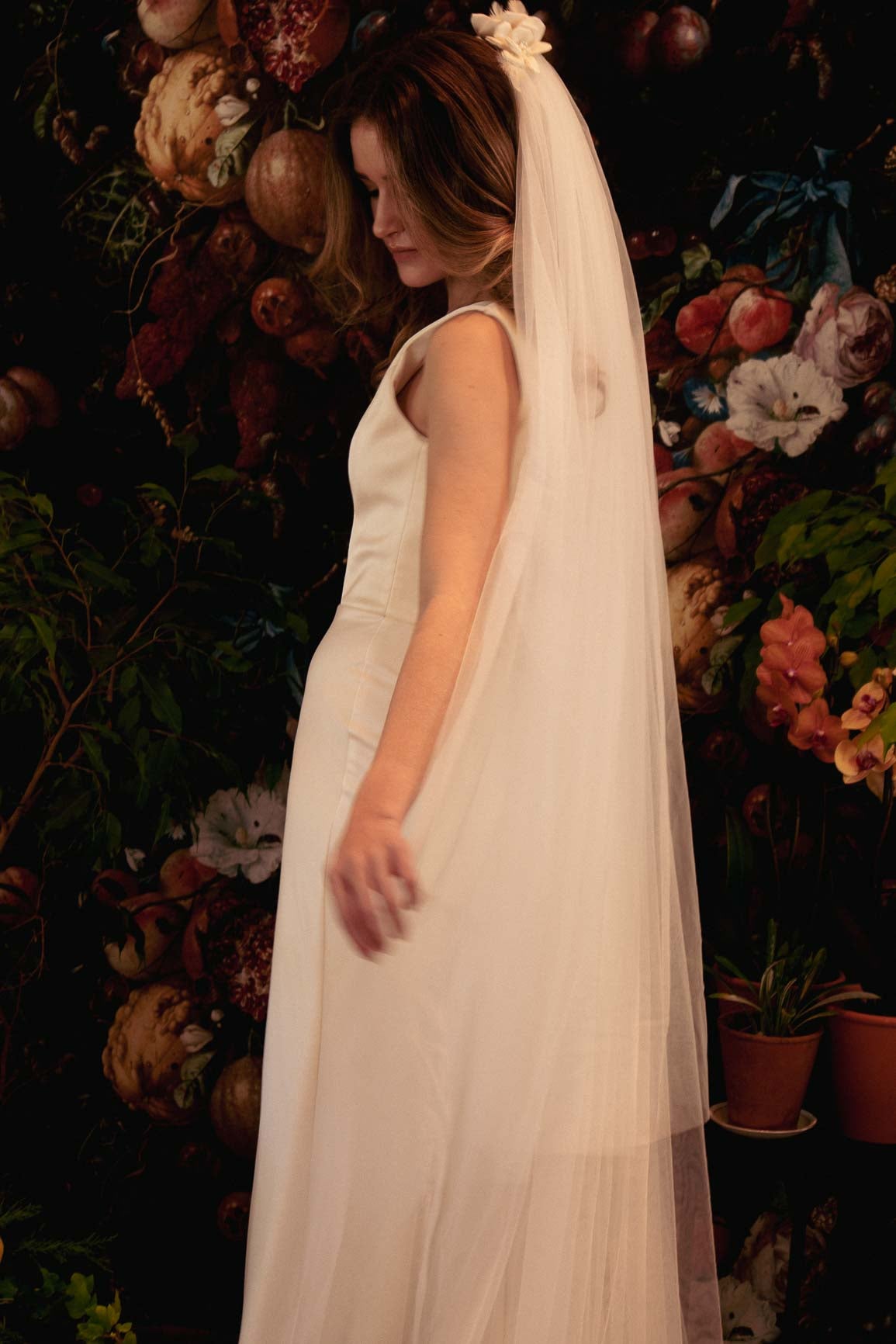 Swan Veil