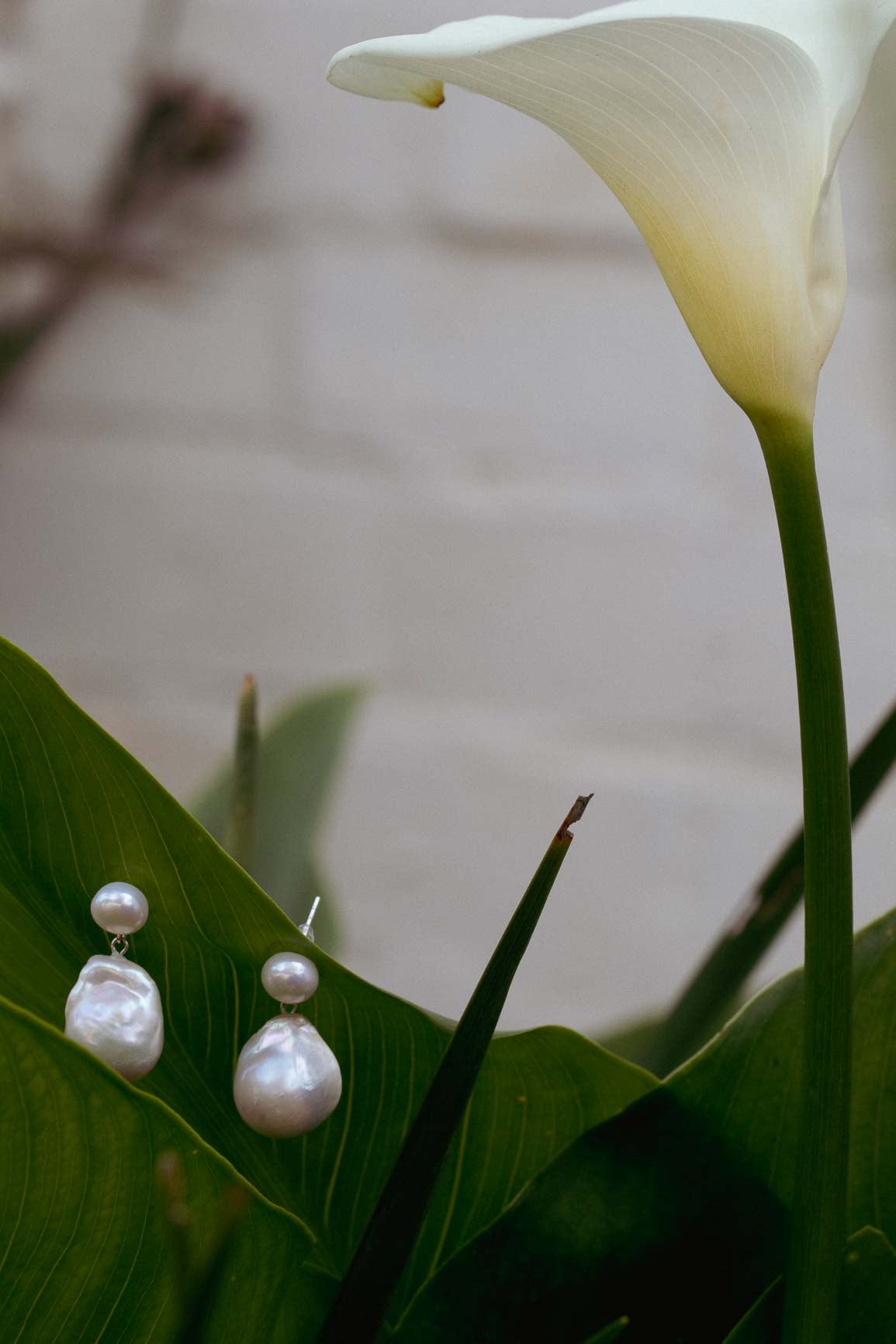 Lily earrings
