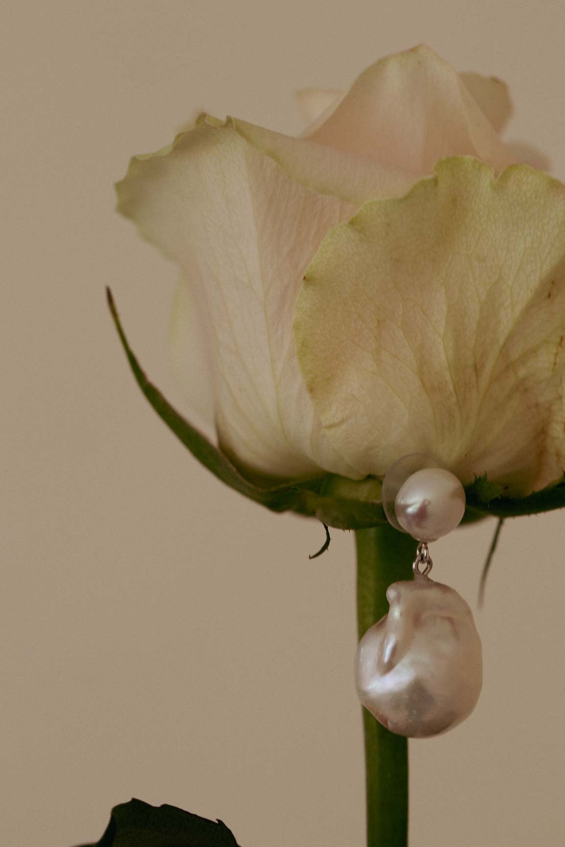 Lily earrings
